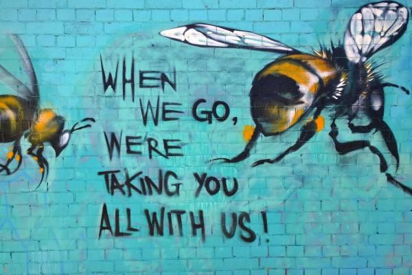 Do Bees Produce Value? A conversation between an ecological economist and a Marxist geographer