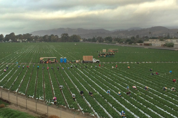 Beyond Permaculture Ethics: Review of Permaculture Magazine’s Film Series, “Living with the Land”