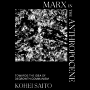 Marx in the Anthropocene: Towards the Idea of Degrowth Communism